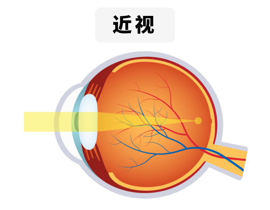 pexels-640 (7)-1.png