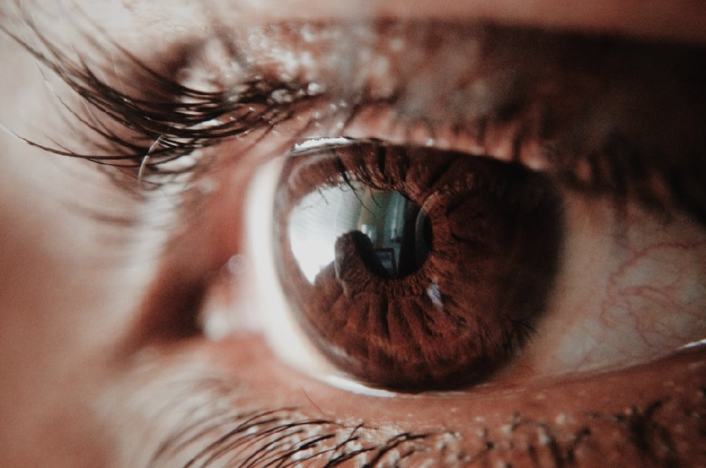 眼前黑影飘？小心你的