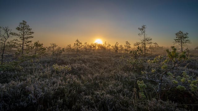 熬夜看手机伤眼睛，教你3招缓解视疲劳