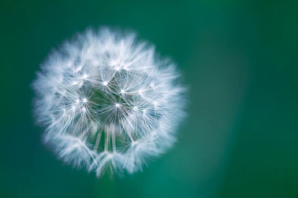 94岁老人跨越千里寻光明：白内障术后重获清晰视力，重拾太极爱好