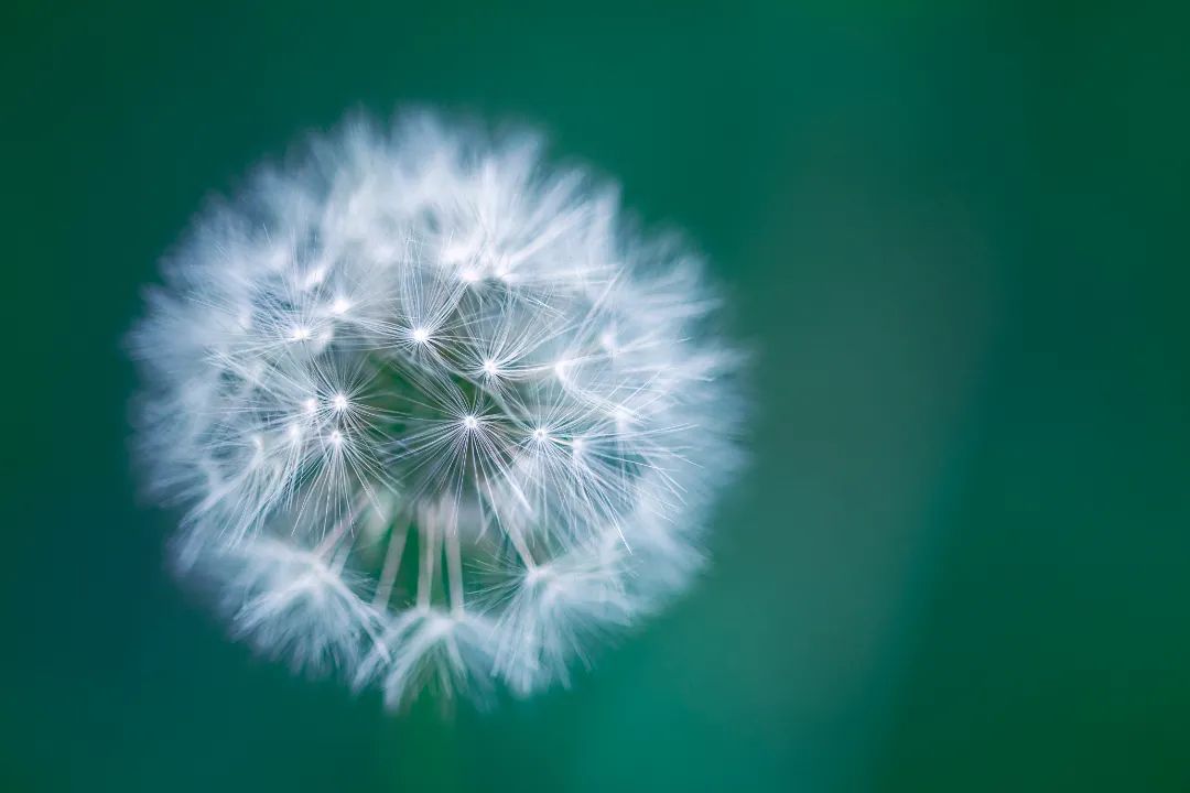 3d 渲染病毒细菌图标设置、 抽象孤立在黑色背景上的美丽微生物多彩单元微生物病毒分子细菌对象集.jpg 微信图片_2025-08-22_093445_101.jpg