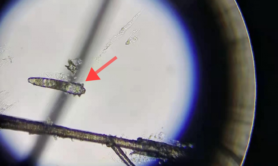 61571509a41a5cf72be3e4efd57ce46.jpg 640 (3).png