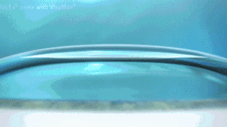 微信图片_20260119105105.gif